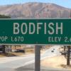 Andy Bodfish