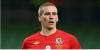 Steve Morison