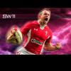 Shane Williams