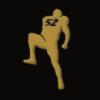 Ray Lewis
